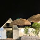 진도하루 이미지