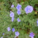 모스가든 이미지