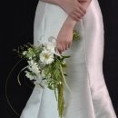 플레르바인 이미지