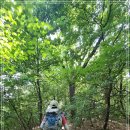 내곡동302 이미지