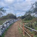 바람길 | 평일의 여유, 원주 치악산 바람길숲 산책 후기