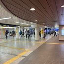 ✈️오사카여행 / 킨테츠백화점 &lt;바오바오&gt; 오픈런 성공후기 - 매장위치, 루센트백 블랙, 가격, 할인, 택스...