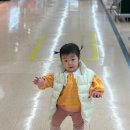 롯데마트 검단점 | 내돈내산 롯데마트 검단점 땡큐절 쇼핑 후기