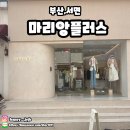 서면 빅사이즈 여성티셔츠 빅사이즈 여성의류 추천 마리앙플러스 서면점