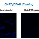 맨투맨남성의원 이미지