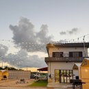 더바베큐 | [청주 고기 맛집] 청주 바베큐장 더파크바베큐, 훈연 목살 맛집 후기