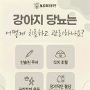 동물벙원 네이버블로그