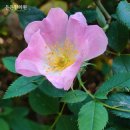 운암미소의원 이미지