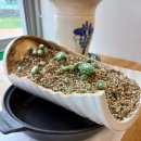 (주)다올 이미지