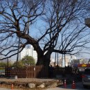 함양초등학교 이미지