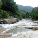 약나무집 민박 이미지