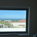 월령소라스테이 이미지