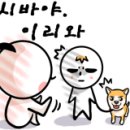 헤이즈모터스 이미지