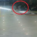 영등포경찰서 내 이미지