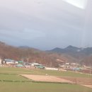 의성마늘카센타 이미지