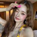 프리지아 이미지