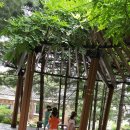 펄벅공원 이미지