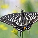 새자연공인중개사사무소 이미지