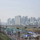 안양천 다목적광장 | 2026 구로구연맹회장배 안양천 벚꽃 마라톤 대회(수육런) 후기