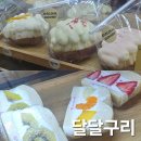 밍그릭 | 의정부빵맛집 디저트 답례품 맛집 달달구리 추천해요 (신상 왁뿌소금빵,모찌산도 후기)