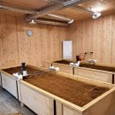 금화효소원 이미지