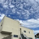 비비다아리 이미지