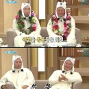 코리아프로지
