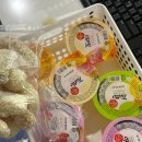 덕진동-06(헌혈의 집 앞) | 맛도리 6주차 일상: 추석 연휴는 가족과 함께