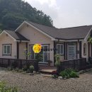 파란잔디