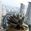 파랑새휘트니스 이미지