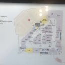 에블린 영풍 이미지