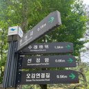 투썸플레이스 화순동구리호수공원점 이미지