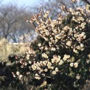 하동포구공원 이미지