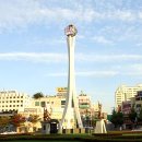 다둥이카 서비스 이미지