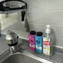 힐링숲 | 부산 기장 숙소 | 국립 달음산 자연휴양림 취소 객실 성공! 대나무 숲 힐링 숙박 후기