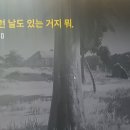 요거트월드김해