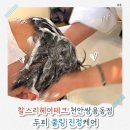 대하식자재마트 - 천안시 서북구 월봉로 95 | 천안 두피관리 찰스리헤어테크 천안쌍용동점｜두피 쿨링 진정케어 후기