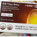 (주)팻온라인 | 푸응 7Days 팻버닝 일주일 다이어트 도전기! 다이소 건기식 솔직후기