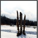 창평농장 이미지