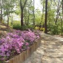 둘리쌍문공원 유아숲체험장 이미지