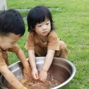 애보박물관 이미지