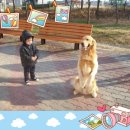 아이마루어린이집 이미지