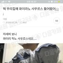 토비 Daum카페