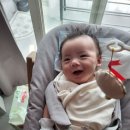 작은땀 | 스토케 트립트랩 오크 &amp; 뉴본세트 내돈내산 땀 뻘뻘 조립 후기