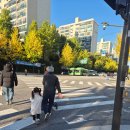 바다유치원 | 송파 솔방울 유치원 재원후기(3세반)