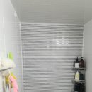 상남동243 이미지