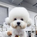 불루마케팅 이미지