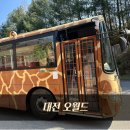 대전오월드 | 대전 오월드 후기 2탄｜아이랑 사파리 투어·동물원 솔직 리뷰(꿀팁 포함)