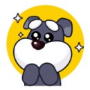 테라스애견미용카페 Daum카페
