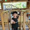 야니랜드 이미지